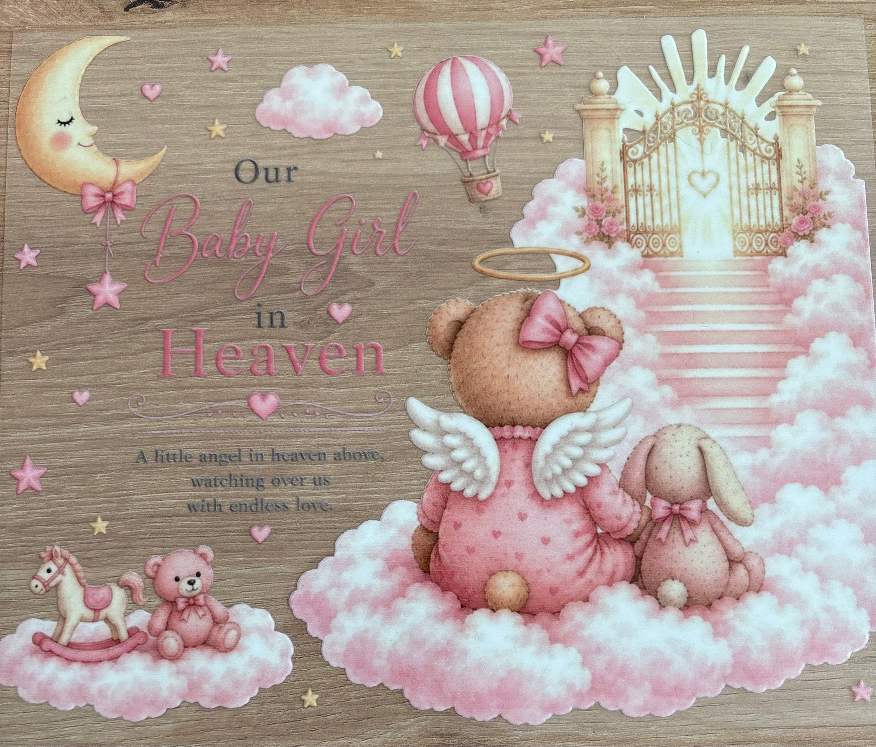 Baby girl in Heaven 20oz ONLY